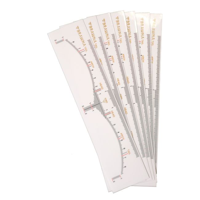 A pack of eyebrow ruler stencils with measurements marked on it, intended for makeup and brow design.